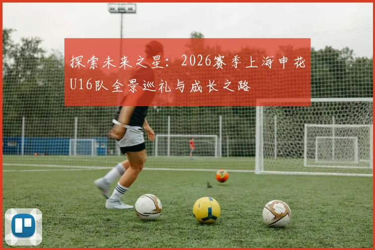 探索未来之星：2026赛季上海申花U16队全景巡礼与成长之路