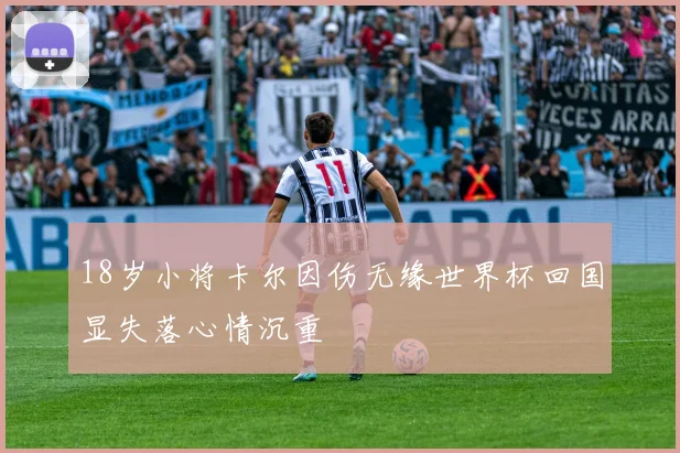 18岁小将卡尔因伤无缘世界杯回国显失落心情沉重
